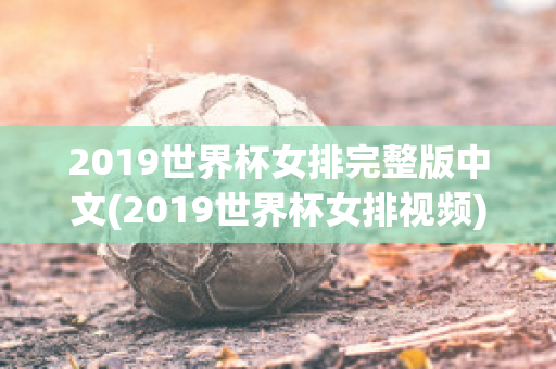2019世界杯女排完整版中文(2019世界杯女排视频)
